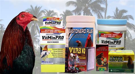 anti bacterial flushing for gamefowl|Healthy Gamefowls: What Different Dropping Colors Mean and .